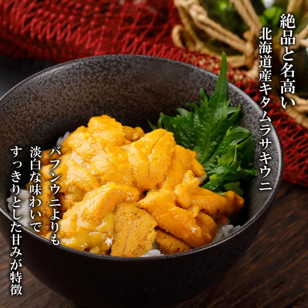 2026年発送予約 ☆北海道産☆塩水キタムラサキウニ 贅沢100g×5パックセット【マルタカ高橋商店】