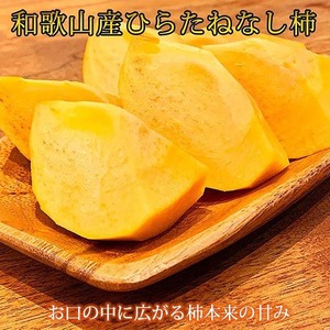 〈定期便〉【10・11・12月 全3回】和歌山人気のフルーツ定期便（柿・みかん）【魚鶴厳選】｜ﾌﾙｰﾂ 