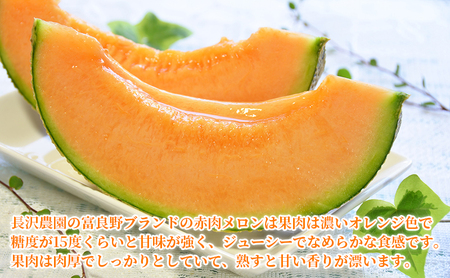 【先行受付  2026年発送】ふらのメロン 赤肉 大玉 ジャンボ 2玉 セット 計4kg以上 北海道 富良野 メロン 夏 果物 フルーツ ギフト 長沢農園