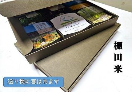 魚沼産コシヒカリ 苗場プリンセス 特別栽培米 農薬・化学肥料5割減 ごはんパック【6パック入り】 |津南町 パックごはん