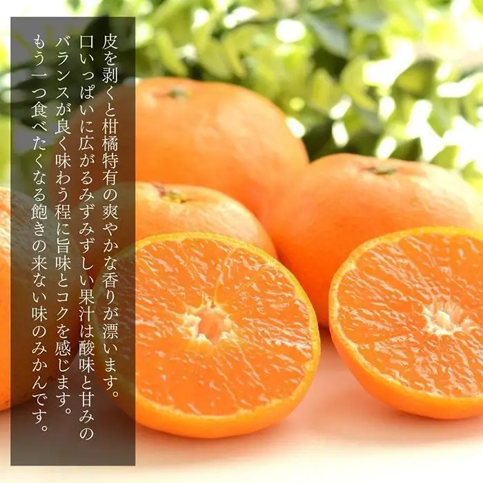 みかん 小玉 有田みかん 約2.3kg  2Sサイズ以下 秀品 優品 混合 家庭用