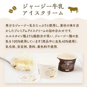 オハヨー乳業 ジャージー牛乳 アイスクリーム 120ml×10個（ミルク・コーヒー）ギフト  | アイスクリーム アイス アイス