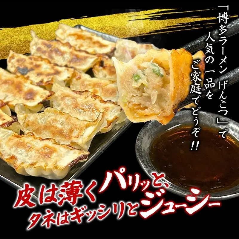 餃子 黒豚冷凍餃子 288個【gnkt0005】