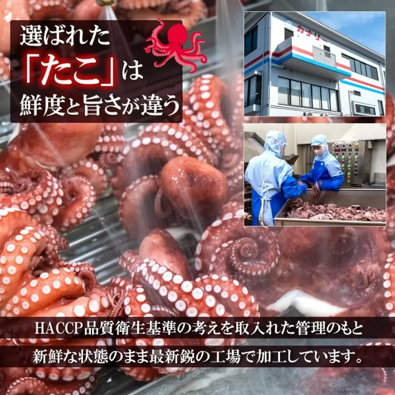特選 真蛸(味付け蛸・酢蛸)　食べ比べセット【hane0007】