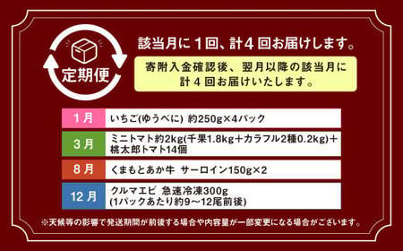 【年4回定期便】「くまもとの赤」定期便①  いちご （ゆうべに） ミニトマト （千果・カラフル2種）＋ 桃太郎トマト くまもとあか牛 クルマエビ 5種 フルーツくだもの 果物 苺 やさい 野菜 トマト 牛肉 肉 お肉 車エビ 海老 エビ 
