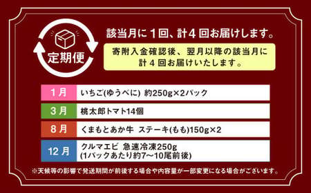 【年4回定期便】「くまもとの赤」定期便② いちご（ゆうべに） 桃太郎トマト くまもとあか牛 クルマエビ 4種 フルーツくだもの 果物 苺 やさい 野菜 トマト 牛肉 肉 お肉 車エビ 海老 エビ