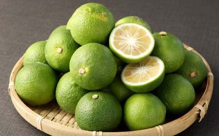 010-1104x1 有機 かぼす果汁 180ml×2本セット 合計360ml 果汁100% カボス 果汁 調味料 有機JAS認定