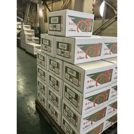 2026年11月～発送開始　酸味ですっきり　訳ありサンジョナゴールド　10kg(26～40個入)_果物・フルーツ りんご  リンゴ 林檎_【配送不可地域：離島・沖縄県】【1495743】