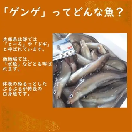 ゲンゲ(ドギ/トーロ/水魚)お吸い物　5パック(5人前)但馬ふるさとの味【配送不可地域：離島】【1511442】