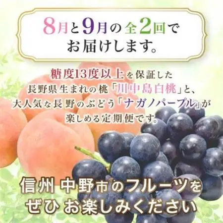 【発送月固定定期便】JA中野市　糖度13度保証の桃2.1kg以上とナガノパープル800g以上全2回【配送不可地域：離島・北海道・沖縄県】【4051564】