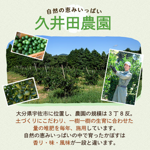 ＜先行予約受付中！2026年8月上旬以降順次発送予定＞かぼす(10kg)柑橘 かんきつ 大分県産直 期間限定【112600200】【ａｎｄＫ】