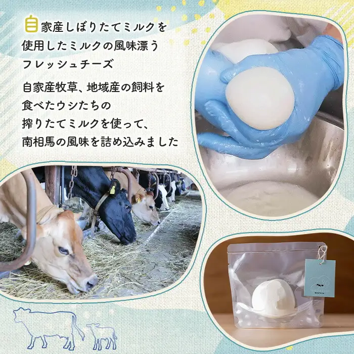 手作りモッツァレラチーズ ｜ モッツアレラチーズ 福島県 南相馬市