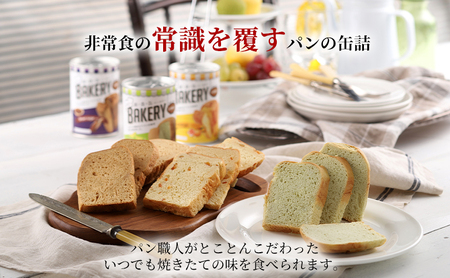 非常食 パン 新・食・缶ベーカリー 12缶 ハーフサイズ セット 詰め合わせ メロン 黒糖 オレンジ 缶入りソフトパン 缶パン 防災食 保存食 非常食セット 非常用 防災用 災害用 5年保存 缶詰 缶詰パン 5年 静岡 静岡県 浜松市