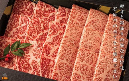 世界が絶賛した“とろける和牛”幻の石原牛 赤身・霜降り食べ比べ焼肉300g ( 鹿児島黒毛和牛 ブランド牛 牛肉 ビーフ こだわり プレミアム オメガ３脂肪酸 贈答 ギフト 徳之島 奄美 鹿児島 美味しい 赤身 霜降り 脂身 ステーキ 焼肉 BBQ 世界基準 石原PRO 決済後10日以内発送 )