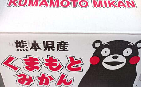 みかん 10kg サイズ2L～2S 蜜柑 ミカン フルーツ 果物 くだもの 柑橘 熊本産 九州産 【2026年10月下旬～2027年2月下旬迄発送予定】
