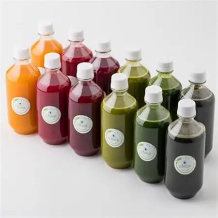 コールドプレスジュース2デイクレンズラージサイズ(500ml×12本セット)冷蔵品【配送不可地域：離島】【1511549】