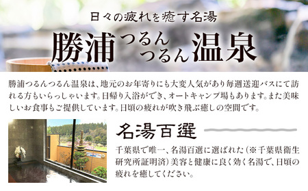 つるんつるんボディーソープ 950ml×1本 勝浦つるんつるん温泉《90日以内に出荷予定(土日祝除く)》【配送不可地域あり】| ボディーソープ ボディーソープ ボディーソープ