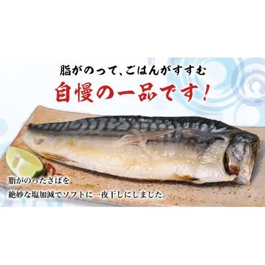 【 全3回 隔月 定期便 】 大トロ さば文化 干し 1枚真空 6パック ( 茨城県共通返礼品 :神栖市 )