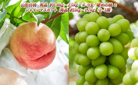 山形自慢の桃とシャインマスカットの詰め合わせ 秀品 3.5kg 以上【令和8年産先行予約】 FS24-153 くだもの 果物 フルーツ 山形 山形県 山形市 2026年産