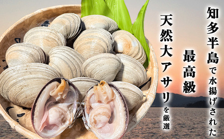 大アサリ 特大 2kg あさりあさりあさり 岬だより