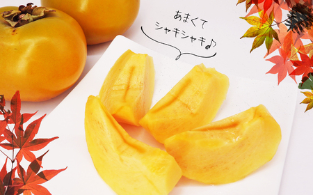訳あり 太秋柿 約2kg | フルーツ 果物 くだもの 柿 かき カキ 熊本県 玉名市