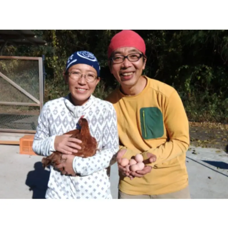 龍神コッコの小さなお肉×2羽分 / 地鶏 鶏 かしわ チキン ムネ もも ささみ 肝 砂ずり 心 たまひも 冷凍 真空パック 田辺市 龍神村 【trt024-2】