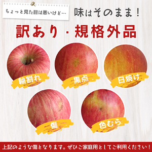 《先行予約》令和8年産 【ご家庭用】りんご サンふじ 5kg （10玉 - 23玉）山形県産 【2026年11月下旬頃から順次発送予定】2026年産 山形産　013-B-JF029