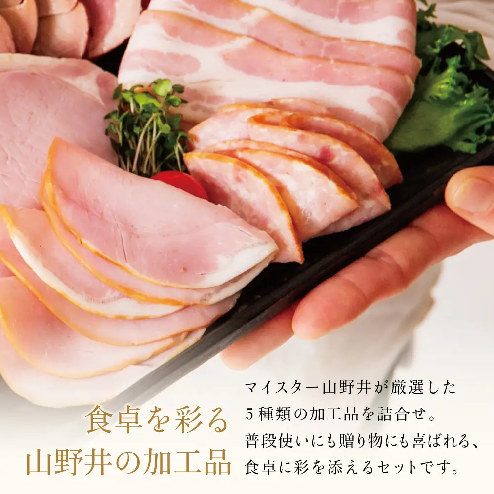 【マイスター山野井】 炭焼き焼豚とハムの詰め合わせ（5種） チャーシュー ハム 焼豚 焼き豚 みそ漬け 荒びき あらびき ポーク ロースハム ボロニアソーセージ ベーコン 燻製 加工品 オードブル 惣菜 弁当 おかず おせち パーティー 手土産 ギフト 贈り物 贈答用 化粧箱 ハムギフト バラエティ アソート 詰合せ セット 人気 お取り寄せ グルメ 冷蔵 山野井 鹿児島 鹿児島県 南さつま市