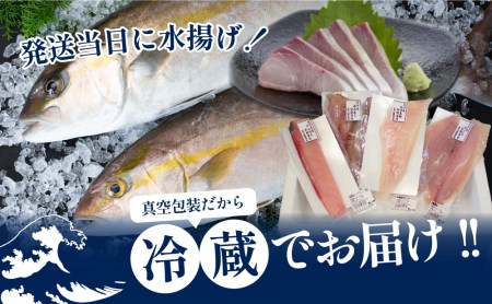 ◆お申込みの翌月にお届け◆【漁師厳選】朝獲れ鮮魚のお刺身詰め合わせ（4種） 魚 冷蔵 刺身 鮮魚 ヤマチョウ 鹿児島県産 海鮮 直送 セット 詰め合わせ ヤマチョウ 南さつま市