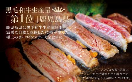 【鹿児島県産】黒毛和牛 サーロインステーキ 約500g （約170g×3枚） 牛肉 A4等級 ステーキ BBQ ギフト 贈答 冷凍 スターゼン