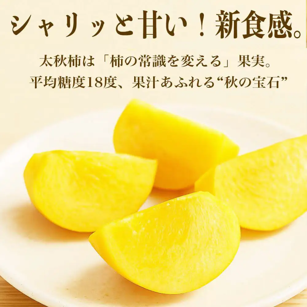 【先行予約】 太秋柿 約6kg （16～30玉） フルーツ くだもの 果物 柿 かき カキ おやつ デザート 秋の味覚 秋 旬 熊本県 八代市 【2026年10月上旬より順次発送】