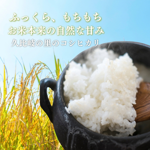 お米 新潟県上越産 特別栽培米 コシヒカリ 5kg 令和7年産 こしひかり 米 こめ おすすめ ふるさと納税 新潟 新潟県産 にいがた 上越 上越産