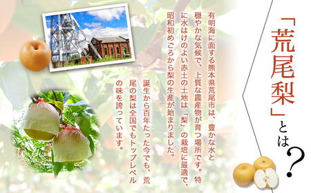 【先行予約】 訳あり 梨 荒尾梨 約 4.5kg ～ 5kg (6～18玉前後) 秋 旬 目野果実直売所《7月下旬-10月上旬頃出荷》熊本県 荒尾市産 なし フルーツ 果物 新鮮 愛甘水 幸水 秋麗 豊水 あきづき のいずれか 品種の指定不可 ご家庭用 美味しい梨 旬の梨 ジューシー梨 フルーツ梨