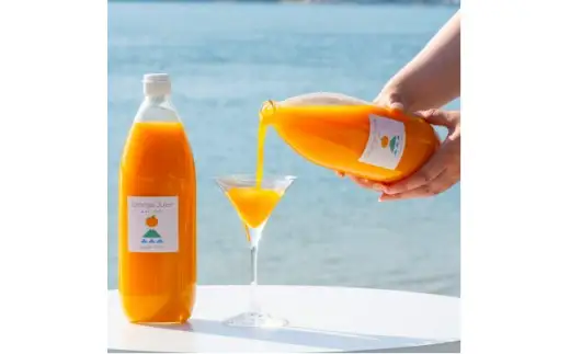 愛媛 シュガーファーム 丸搾り みかんジュース ストレート1000ml×2本