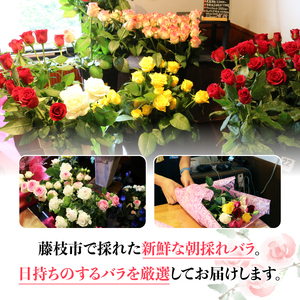 【オンライン決済限定】バラ 10 本 ミックスカラー 花束 ブーケ 朝摘み 新鮮 薔薇 花 ばら ローズ 生花 ギフト プレゼント 祝い 贈り物 贈答 記念日 静岡県 藤枝市 |    