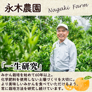 ＜先行予約受付中！2027年1月中旬から2月中旬の間に順次発送予定＞みはや(約5kg)みはや(約5kg)ハウス 樹成 完熟みかん 蜜柑 柑橘 かんきつ フルーツ 果物 くだもの【111600100】【永木農園】
