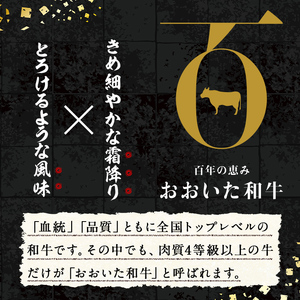おおいた和牛切り落とし(計1kg・500g×2P) 牛肉 お肉 ウデ モモ バラ 切り落とし 切り落し 切落し こま切れ すき焼き 肉じゃが おおいた和牛 和牛 霜降り【110201002】【吉野】