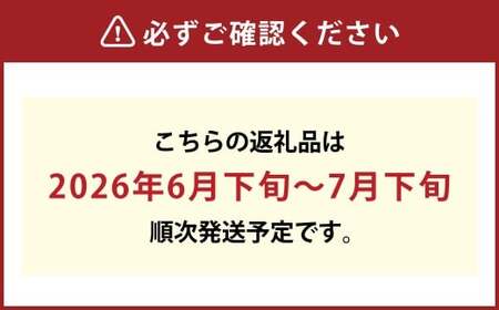 岡山匠の白桃 約1.3kg 4～6玉 犬塚農園 岡山県産 岡山白桃 家庭用【2026年6月下旬～7月下旬発送予定】【岡山県産 一宮産 みずみずしい 新鮮 数量限定 季節の味 旬をお届け フレッシュ 犬塚農園からお届け 晴れの国 おかやま 果物大国 もぎたて便 当日出荷 ご自宅用 岡山県 倉敷市 おすすめ 人気】