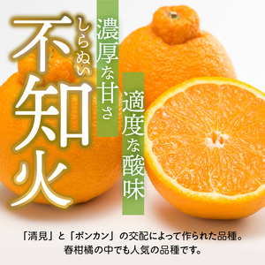 U6306_【2027年先行予約】不知火 しらぬい(デコポンと同品種) 秀品 15～30玉 和歌山県有田産