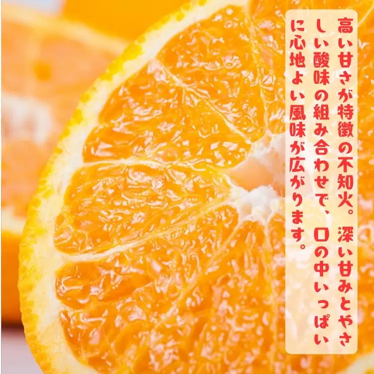 ［先行予約］極甘 柑橘 有田育ちの 濃厚 ポンカン（家庭用）5kg［MS45］