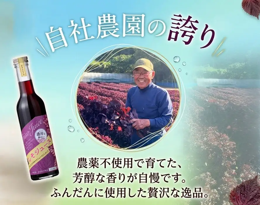 B2-0714／【夏季限定】 濃い！ 赤しそジュース　6本セット