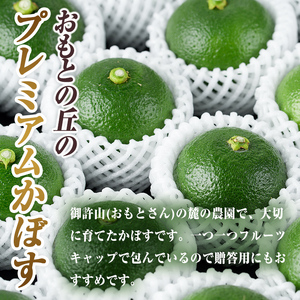 ＜先行予約受付中！2026年8月下旬以降順次発送予定＞おもとの丘のプレミアムかぼす(20～24個)かんきつ 柑橘 期間限定 【111300500】【未来農林】