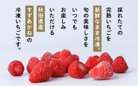 《 訳あり 》 冷凍いちご 食べきり 規格外 不揃い 完熟 国産 採れたて 30袋 真空 個包装 バラ冷凍 ヘタなし 葉なし 冷凍 選べる いちご 苺 人気 送料無料【フルーツパークDETO】