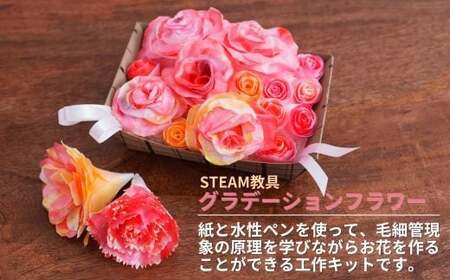 グラデーションフラワー STEAM教具【知育 教育 理数教育 子ども 未来 紙 水性ペン 毛細管現象 オリジナル バラ カーネーション 制作 工作 キット セロファン 宿題 自由研究 ハロウィン クリスマス イベント 家族 アート 科学 技術 工学 数学 芸術 知育 教育 理数教育 子ども 未来 紙 水性ペン 毛細管現象 オリジナル バラ カーネーション 制作 工作 キット セロファン 宿題 自由研究 ハロウィン クリスマス イベント 家族 アート 科学 技術 工学 数学 芸術 知育 教育 理数教育 子ども 未来 紙 水性ペン 毛細管現象 オリジナル バラ カーネーション 制作 工作 キット セロファン 宿題 自由研究 ハロウィン クリスマス イベント 家族 アート 科学 技術 工学 数学 芸術】