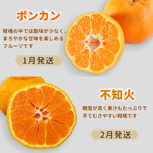 【定期便4回】 訳あり 季節の柑橘4種 各5kg 合計 20kg ポンカン 不知火 甘夏 河内晩柑   柑橘 みかん 果物 フルーツ ゼリー アイス ジュース 定期便  フルーツ定期便 和製 グレープフルーツ 夏文旦 ぽんかん 旬の果物 旬のフルーツ 愛南町 愛媛県 愛南フルーツ