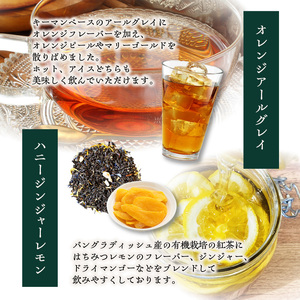 【全3回定期便】世界の美味しい紅茶５種セット  010-03-T2