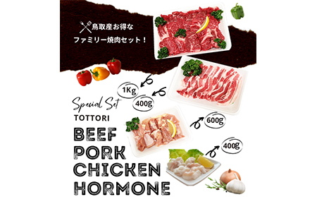 鳥取県産　焼肉セット 2.4ｋｇ (６?１０人前） ホルモン 丸腸 牛肉 豚肉 鶏肉 バーベキュー 鳥取産 BBQ ファミリーセット_T2600254