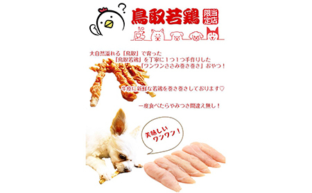国産 鳥取産 ペットおやつ 犬用 ささみ巻き巻き ガム 10袋 無添加 無香料 無着色 美味しい鳥取産鶏肉使用_T2600255