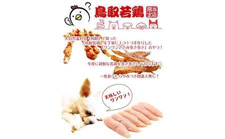 国産 鳥取産 ペットおやつ 犬猫用 ささみパリパリ １０袋 無添加 無香料 無着色 美味しい鳥取産鶏肉使用 ササミおやつ_T2600256