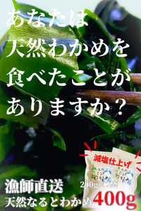 【漁師直送】天然なるとわかめ 200g×2袋 【 減塩 】 鳴門わかめ わかめ 天然 国産 希少 人気 湯通し 塩蔵 味噌汁 みそ汁 スープ お刺身 サラダ 酢の物 和え物
